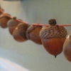 Acorn Garland