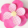 Alice in Wonderland Daisies