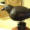 Awesomely Crafty Raven