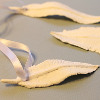 Ballard-Inspired Feather Ornaments