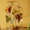 24 Beautiful Butterfly Craft Ideas