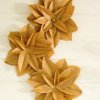 Brown Bag Flowers
