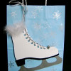 Come Skate Away Gift Bag
