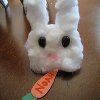 Easter Bunny Place Cards