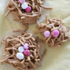 Edible Spring Nests