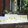 Fingerpaint Sunflower Thank You Cards