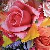 Floral Collage for Kids