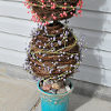 Grape Vine Topiary