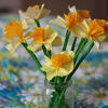 Handmade Daffodils