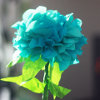 Happy Hydrangeas