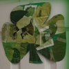 Make a Shamrock Collage
