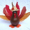 Mrs Lightbulb Turkey
