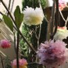 Plastic Bag Pom Pom Flowers th Ultimate Green Crafting Guide: 201 Recycled Craft Ideas