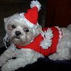 Santa Paws Crochet Dog Outfit