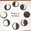 Tasty Phases of the Moon