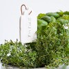 Ceramic Plant Tags