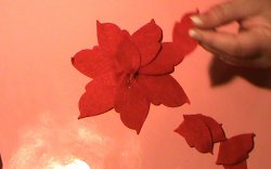 How to Make a Poinsettia Flower-1