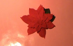 How to Make a Poinsettia Flower-2